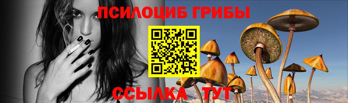 Псков  Псилоцибиновые грибы MAGIC MUSHROOMS  Вход с VPN  Галлюциногенные грибы Magic Shrooms 