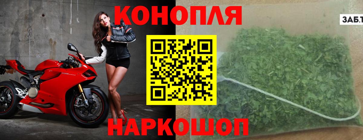 Марихуана конопля Псков